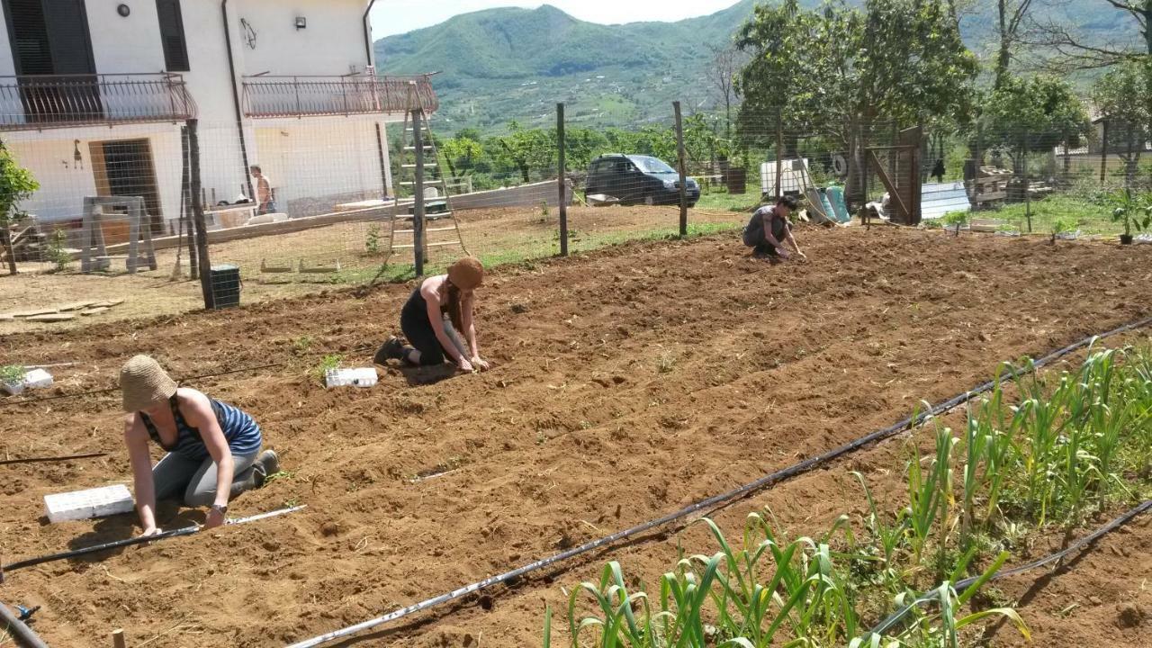 L'Arcadia Panzió Giffoni Sei Casali Kültér fotó